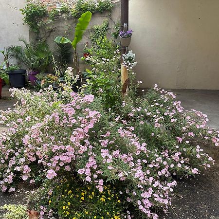 Appartement Haut De Gamme Centre Ville 샬롱쉬르송 외부 사진